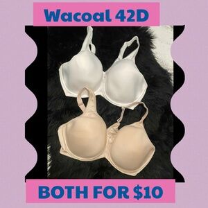 Wacoal 42D T-Shirt Bra Bundle